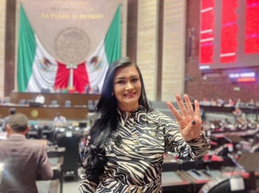 Ella es la diputada de Morena que busca elevar multas por injurias al Presidente; fue detenida en 2015
