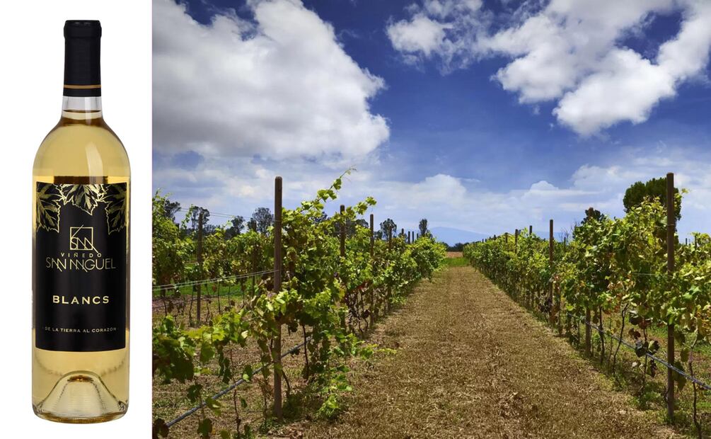 Vinos blancos pal calor. Foto: Especial