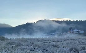 Heladas azotan zonas serranas de Oaxaca; reportan hasta -5 grados