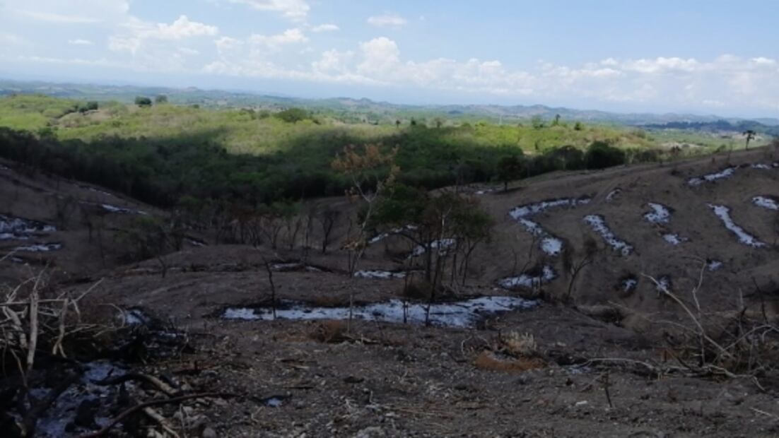 Dictaminan daños al patrimonio en El Tajín