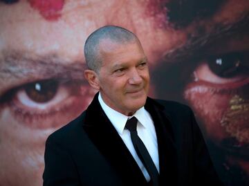 Antonio Banderas se rapa y se queda sin ceja para ser Pablo Picasso