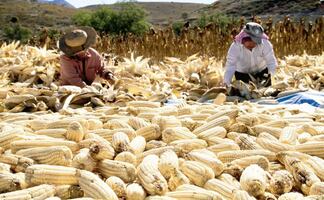 EU anuncia inversión de 40 mdd en México para fortalecer el sistema alimentario; embajador Johnson destaca beneficios