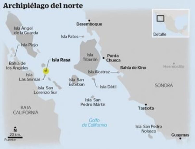 Sardineras contaminan el Mar de Cortés