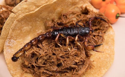 Lánzate por un taco de insectos a este festival