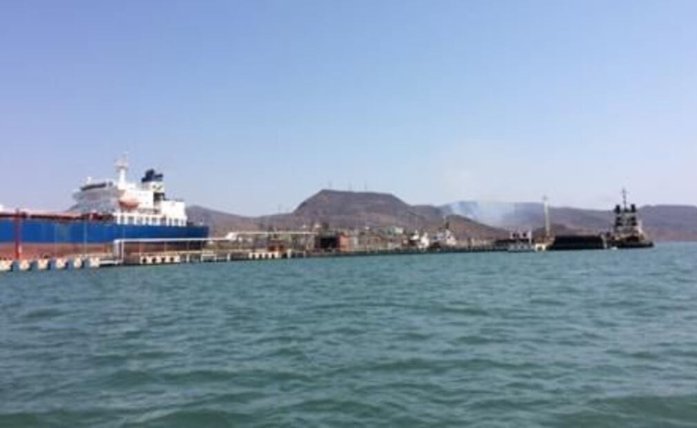 Sardineras contaminan el Mar de Cortés
