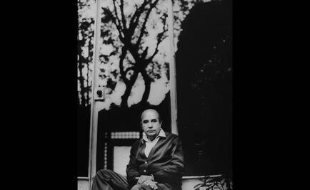 José Luis Martínez, el crítico literario, en Confabulario