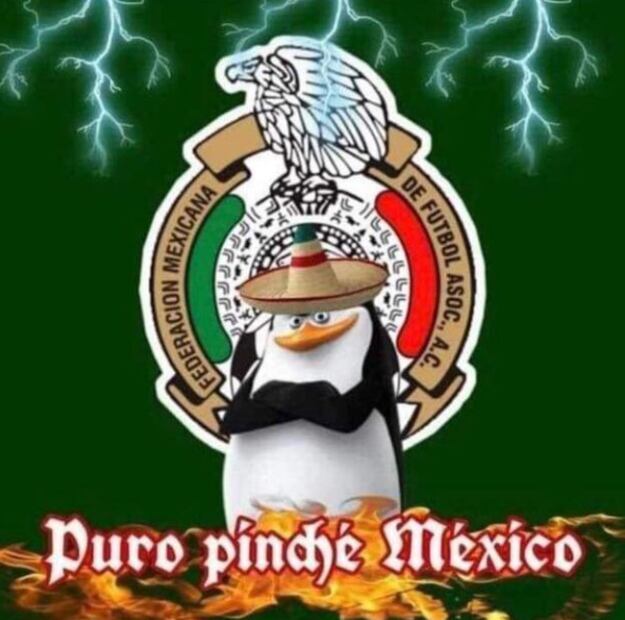 Los MEJORES MEMES de la victoria de la Selección Mexicana