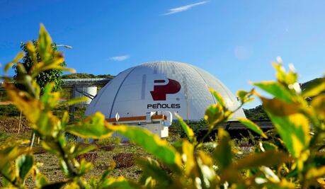 Industrias Peñoles sufre ciberataque; descarta afectaciones en sus unidades