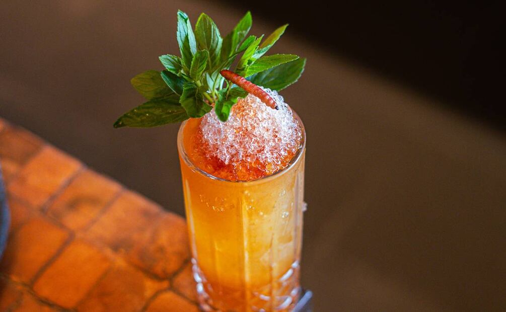 Festival de Bichos en Los Danzantes. Foto: Cortesía