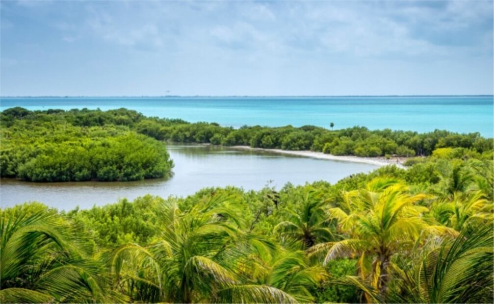 Contoy, la hermosa isla mexicana que solo permite 200 visitantes al día