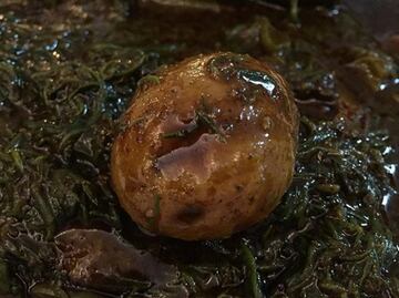 Comer romeritos protege a tus células de la oxidación