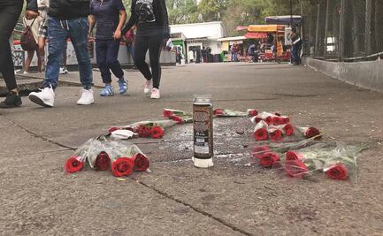 Siete mujeres fueron asesinadas diariamente en 2023: reporte sobre violencia