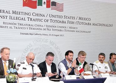Van 3 países contra tráfico de totoaba
