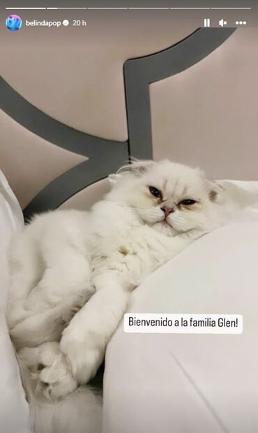 Belinda presenta al nuevo miembro de su familia: Glen