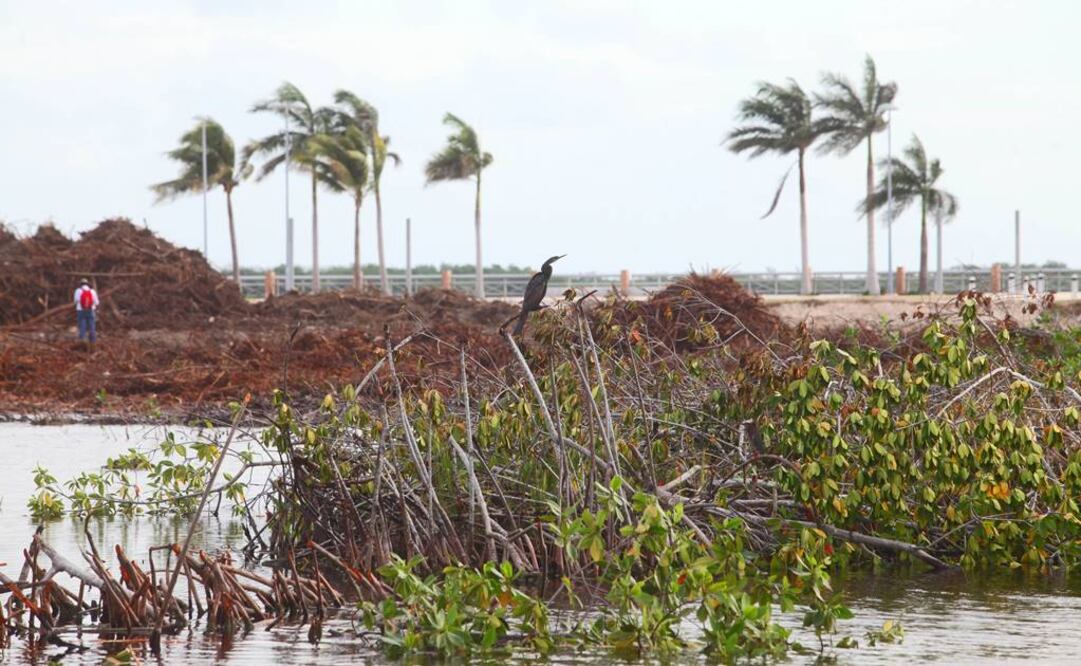 Foto: Adrián Hernández / EL UNIVERSAL