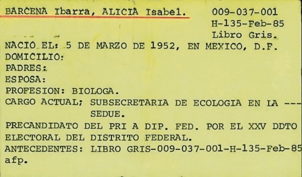 DFS vigiló a la titular de la Cancillería, Alicia Bárcena