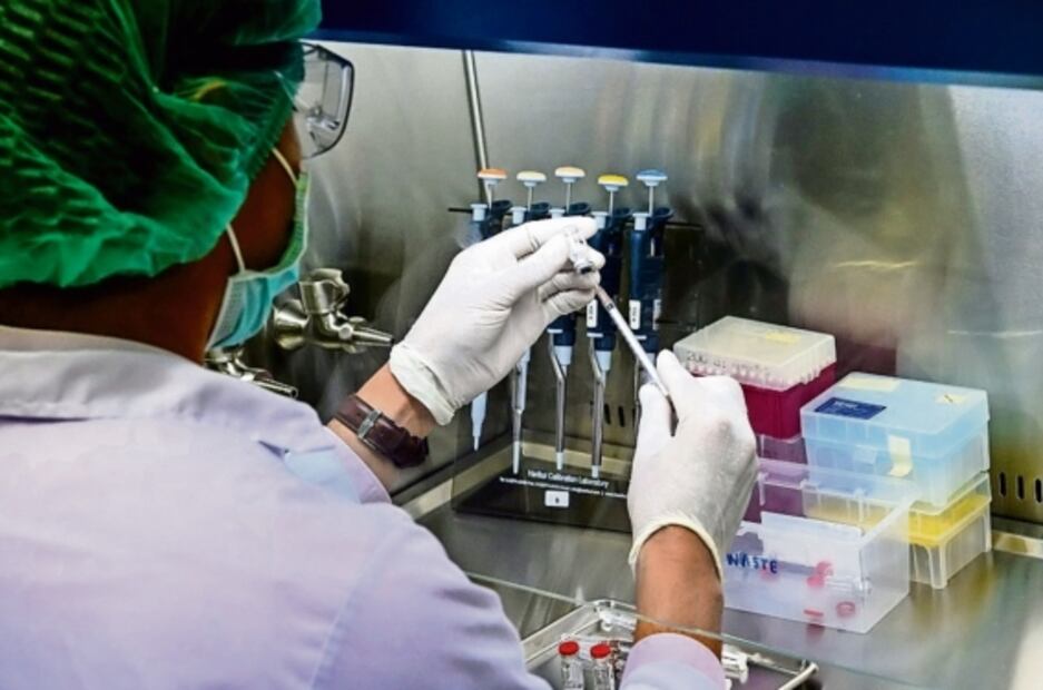 Escasez de primates para experimentación limitaría el estudio de más vacunas contra el Covid-19