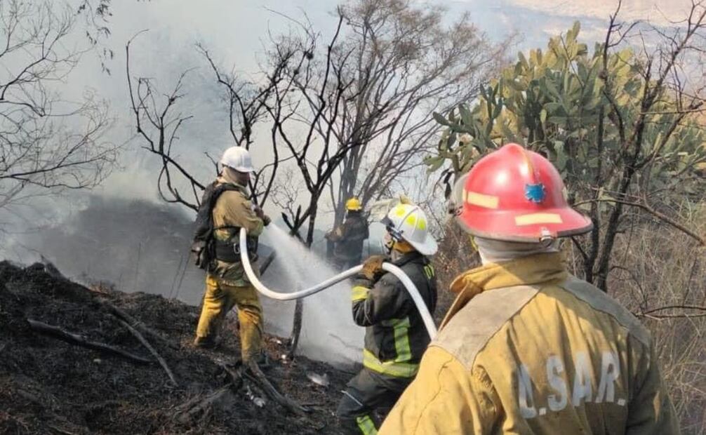 En el incendio  laboraron cerca de 100 bomberos de Atizapán de Zaragoza, Nicolás Romero, Cuautitlán Izcalli, Tultitlán, Coacalco, Naucalpan y Tlalnepantla, así como de Probosque y la Brigada Acuario de Naucalpan. Foto: Especial