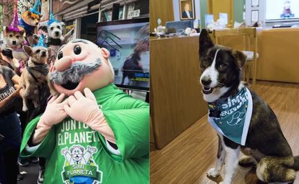 SimiPet Care: Dr Simi presenta a “Zaskya”, agente de la felicidad; adopción conmueve en la red