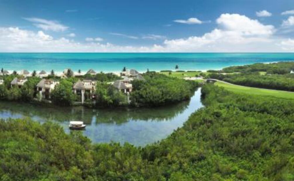 En Riviera Maya hay una abeja que no pica y su miel te rejuvenece