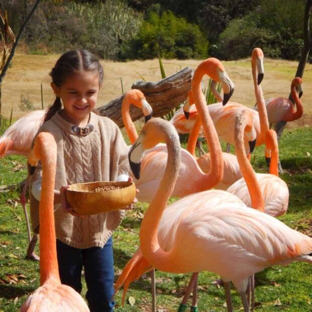 Lugares para ir con niños en CDMX y alrededores