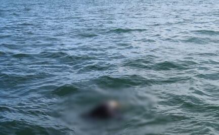 Localizan los cuerpos de dos de los cuatro pescadores desaparecidos en Navolato