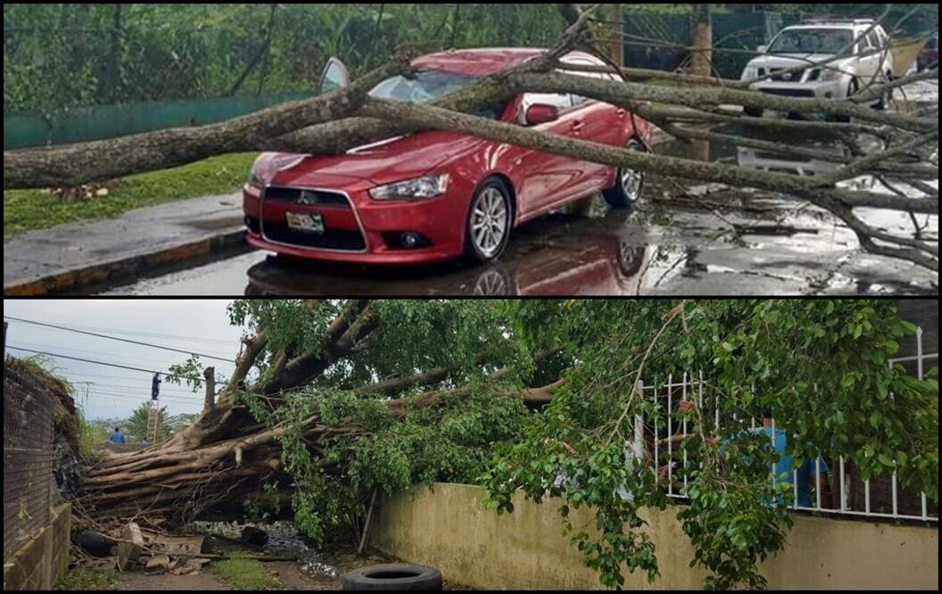 Foto: Cortesía Francisco Triano y Javier Armando