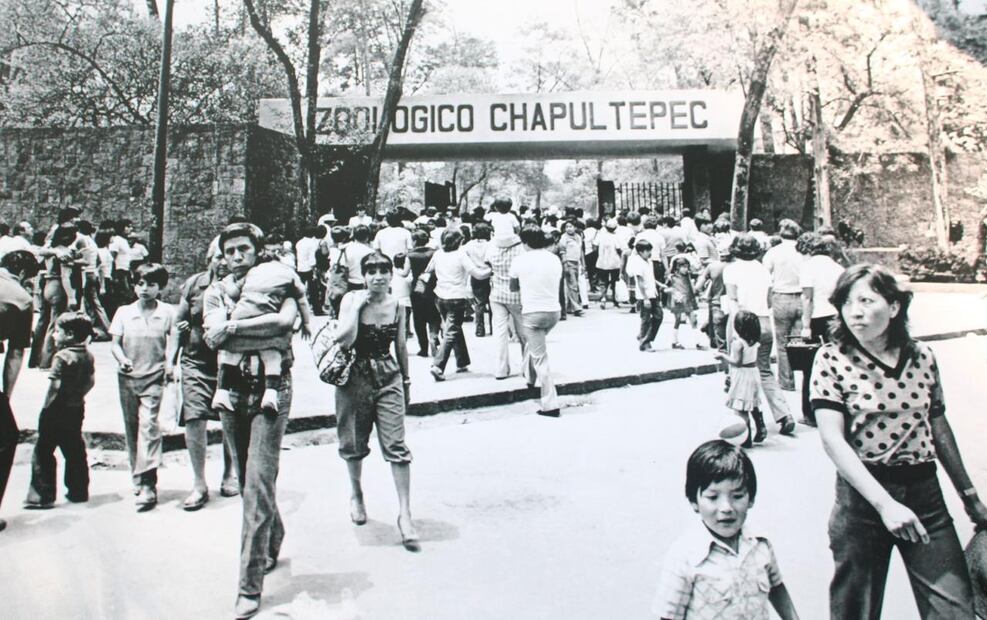 La primera piedra del emblemático Zoológico fue colocada el 6 de julio de 1923 por el biólogo Alfonso Luis Herrera. (Foto: especial)