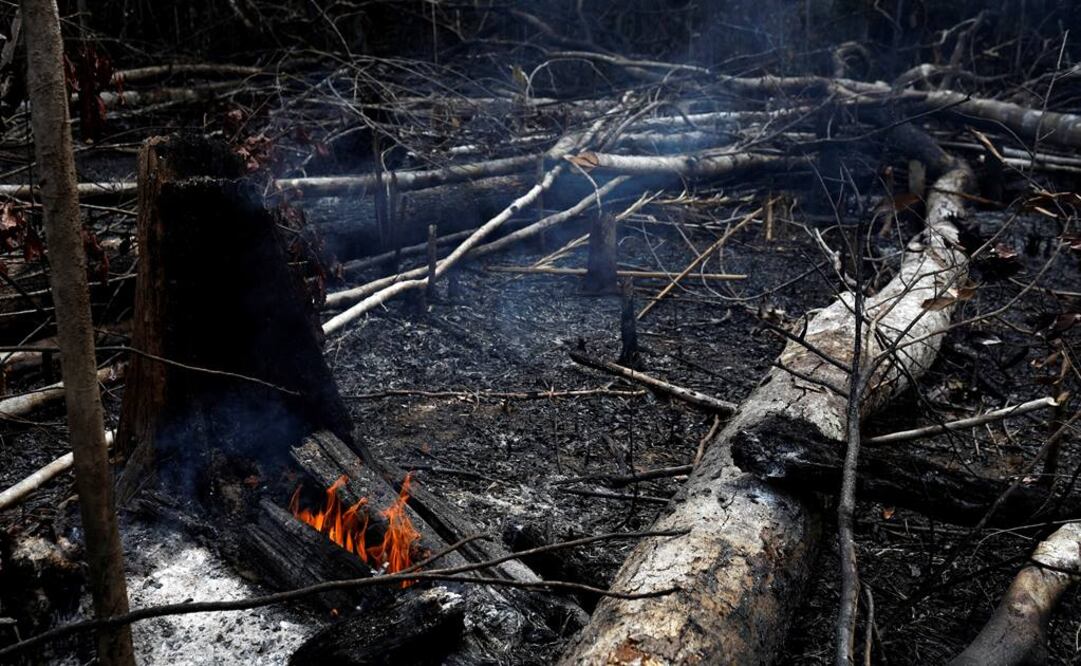La deforestación explica la mayor parte de los incendios (Fotos: Reuters)
