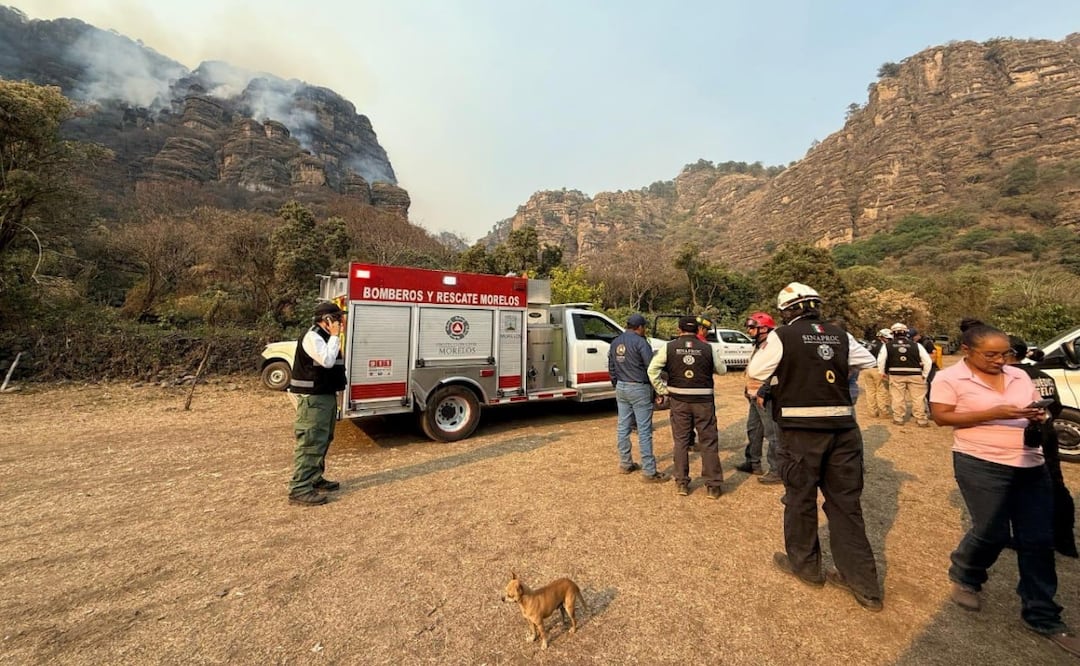 Los últimos días, los incendios forestales en Morelos han resultado difíciles de combatir y hasta ahora un voluntario ha perdido la vida durante las labores de combate en el municipio de Atlatlahucan. Foto: Archivo / Especial