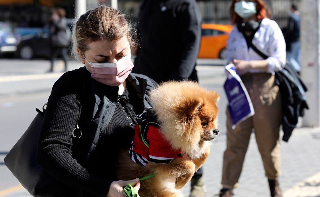 Hasta la fecha, ya se han registrado casos de Covid-19 en animales en 27 países del mundo. Foto: AP