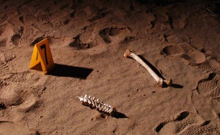 More mass graves found in Mexico