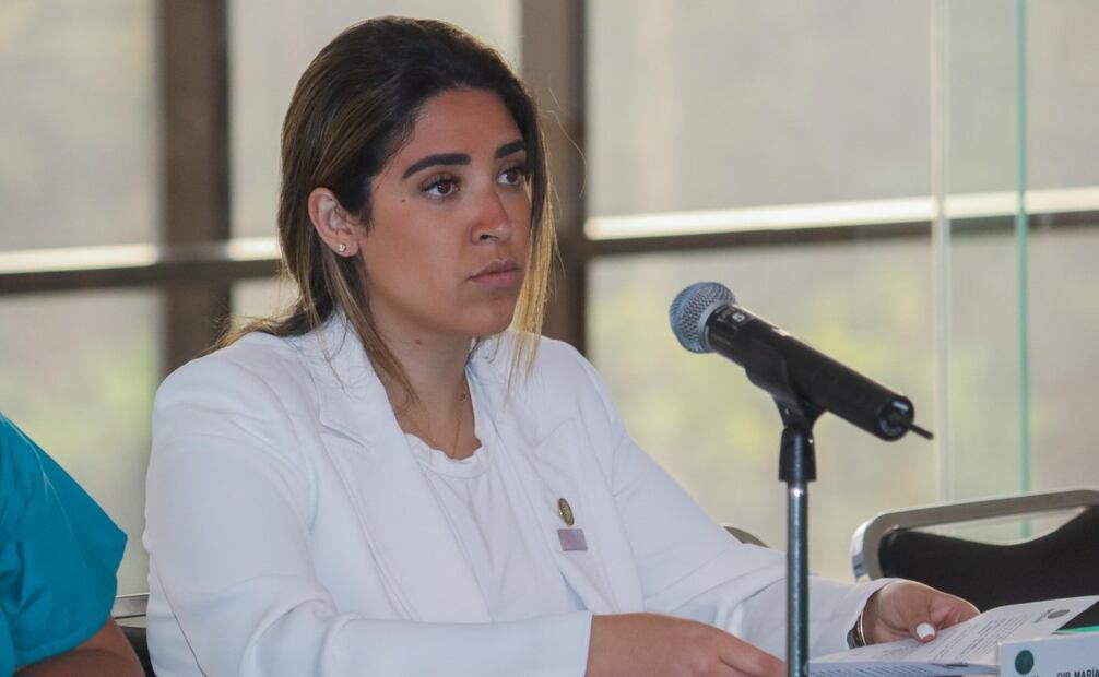 Diputada María Teresa Ealy durante la Séptima Reunión Ordinaria de la Comisión de Igualdad de Género en la Cámara de Diputados. Foto: Especial