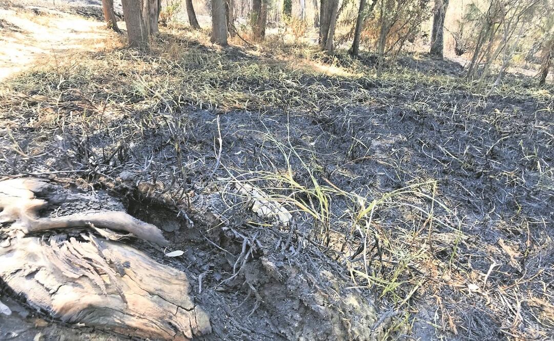 Naucalpan se encuentra en alerta ante el daño ambiental generado por estos incendios.Foto: Rebeca Jiménez / EL UNIVERSAL
