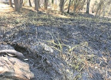 Se queman 7 hectáreas de bosque en Naucalpan