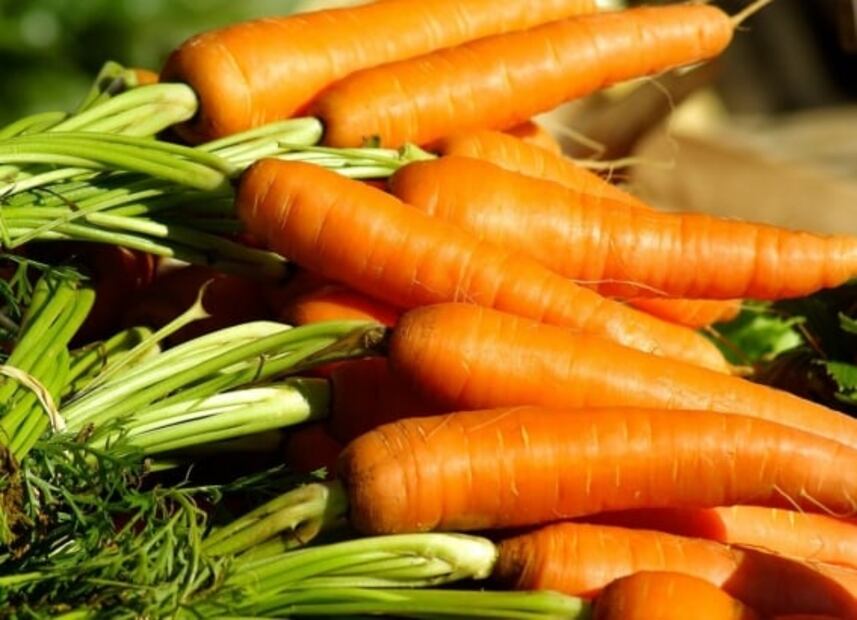 Conoce qué hierbas y hortalizas puedes cultivar en casa 