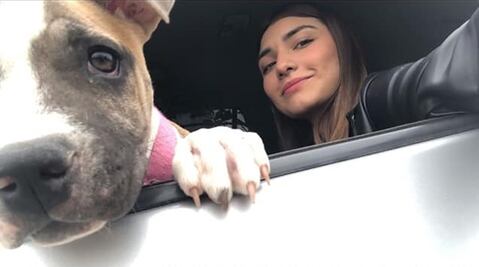 Joven fallece en accidente automovilístico y su perrita muere de tristeza a los pocos días