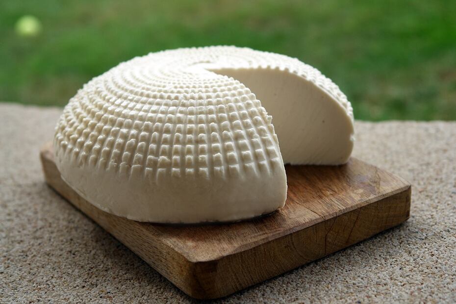 El queso panela es una de las variedades de los quesos frescos / Foto: Pixabay