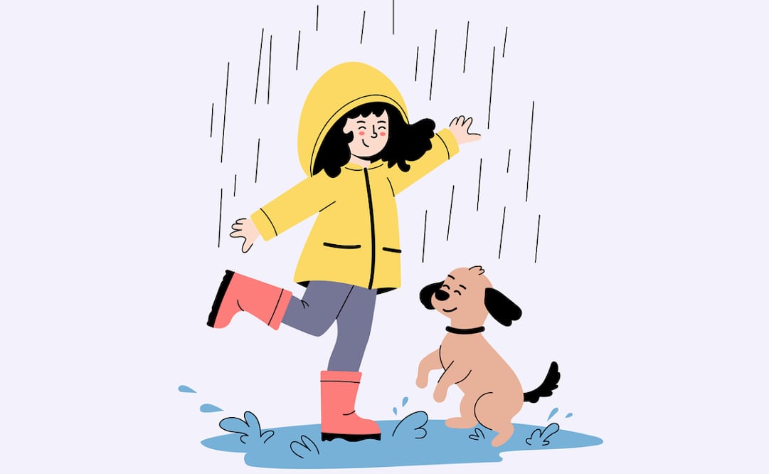 La temporada de lluvias ha comenzado en México y estas son algunas recomendaciones para proteger a tu compañero peludo que deberías tomar en cuenta. Foto: Pixabay