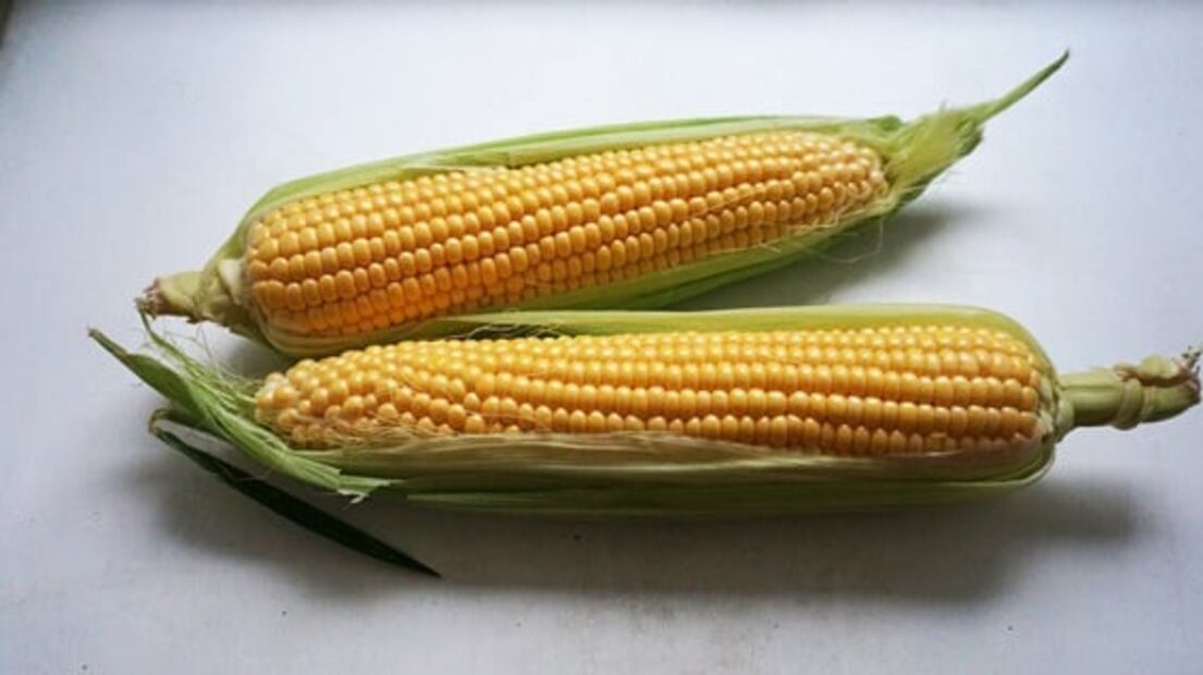 Tips para ablandar los elotes duros