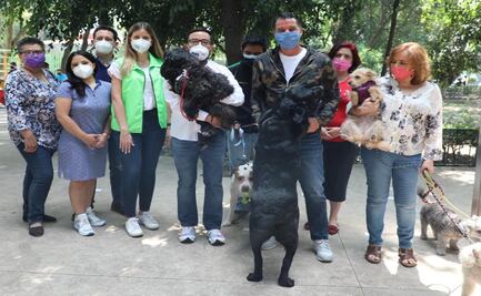 Anuncia Romo agenda de Bienestar Animal para alcaldía de Miguel Hidalgo