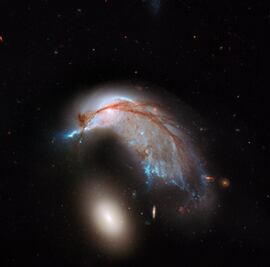 Telescopio Hubble capta en el espacio... ¿a un pingüino?