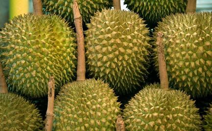 La yaca, una fruta impresionante, desconocida y con muchos beneficios