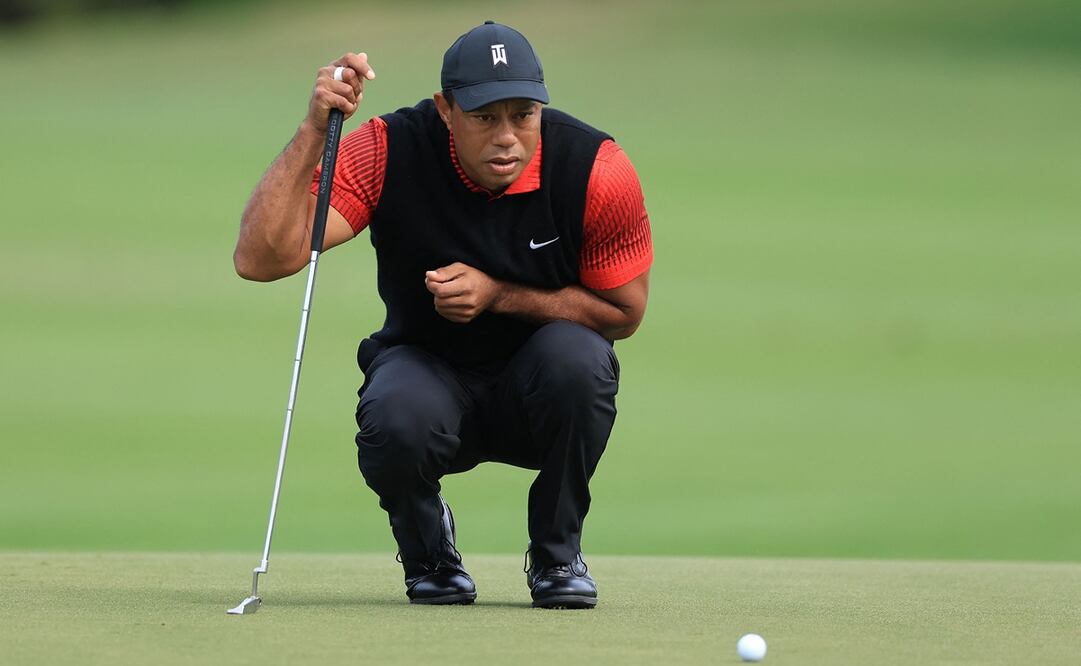 El Tigre preparando su siguiente jugada / Foto: AFP