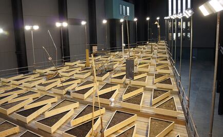Cruzvillegas hace crecer vegetación en la Tate Modern