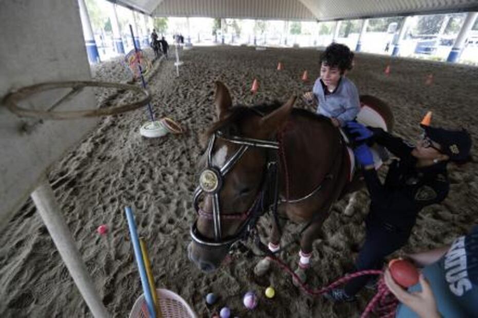 Caballos policías ayudan a niños con autismo