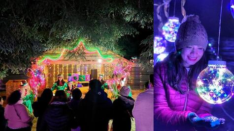 Visita el Bosque iluminado de Hidalgo