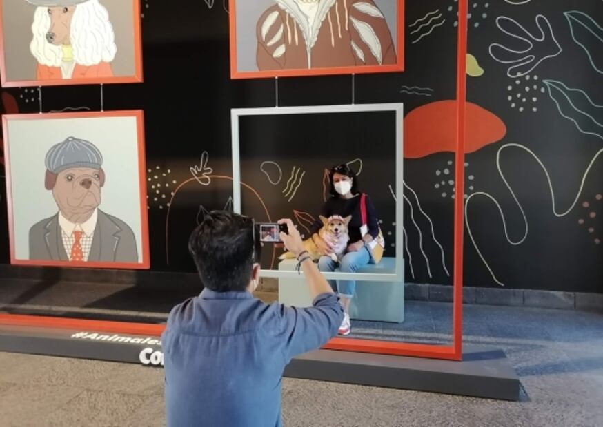 Lleva a tus "perrhijos" al Museo Nacional de San Carlos este domingo