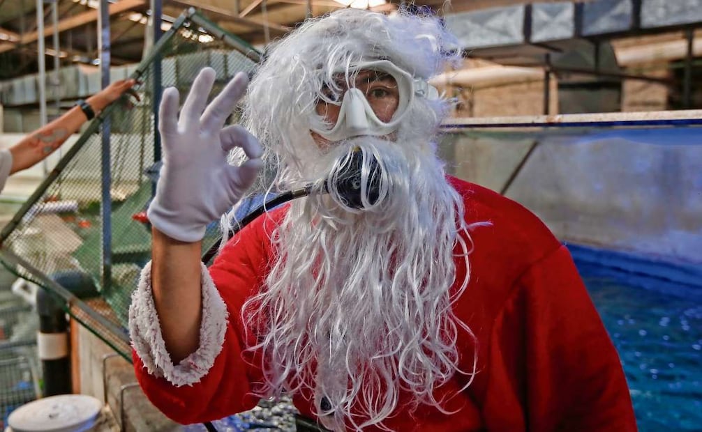 Emplea un traje de neopreno debajo del vestuario, zapatos acuáticos y visores que le dan oxígeno. Foto: Miguel García / EL UNIVERSAL