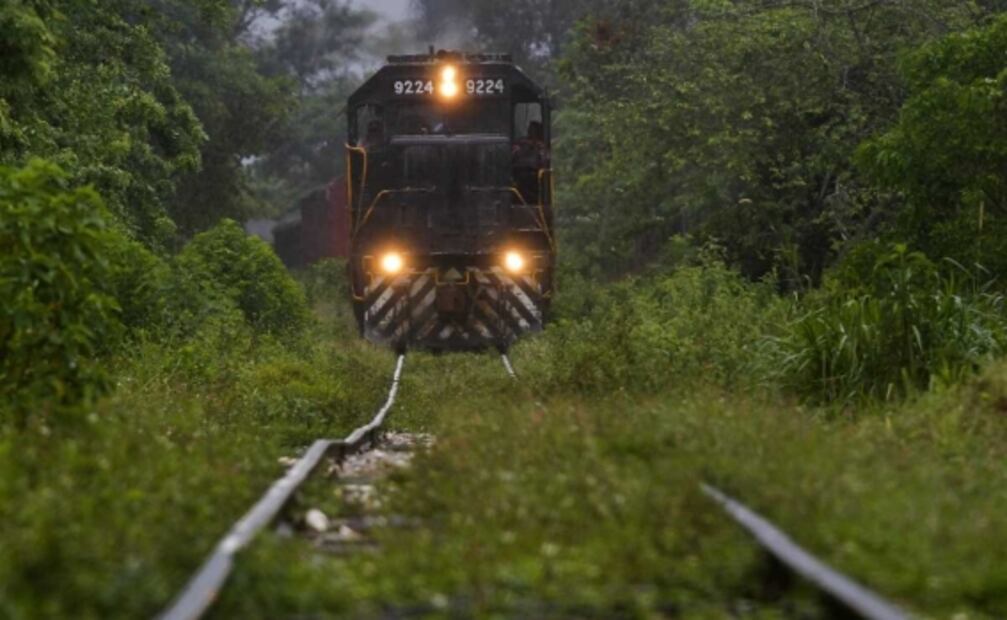Tren Maya: Activistas hablan sobre "Sélvame Del Tren" y la intervención de famosos
